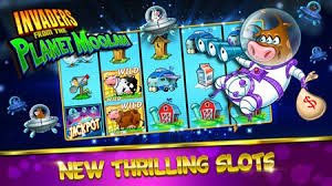Live Casino